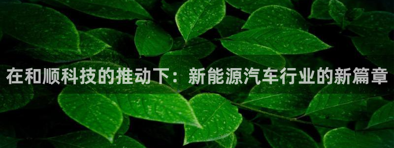 sunbet游戏官网