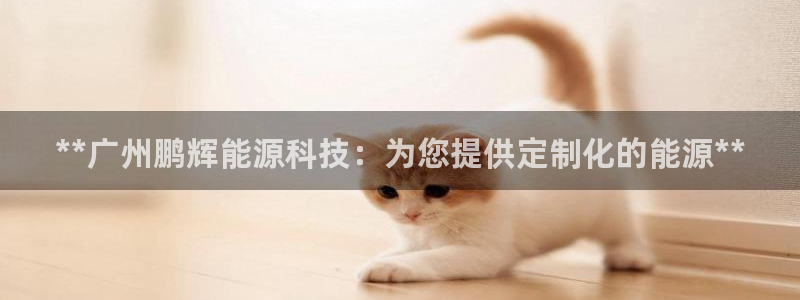 sunbet最新消息