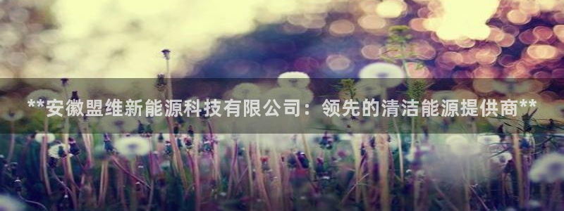 下载申搏sunbet并安装app