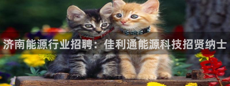 sunbet申搏app下载