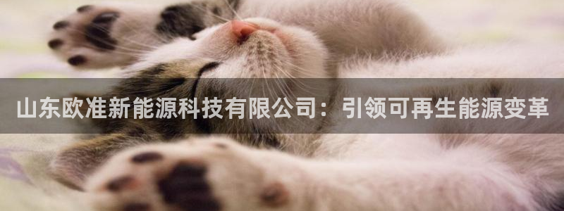 sunbet苹果app
