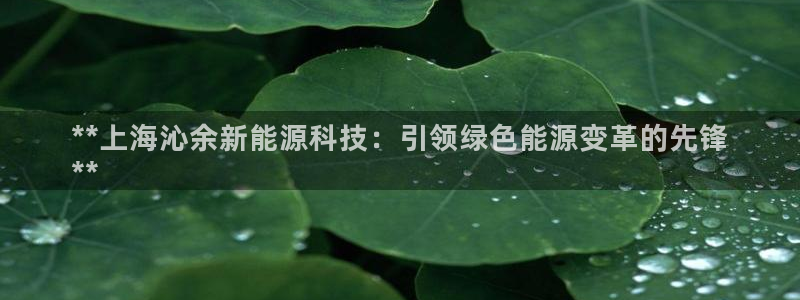 sunbet首页登录入口