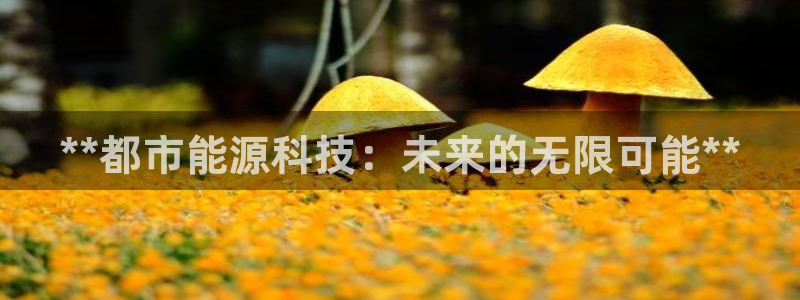 sunbet官网welcome