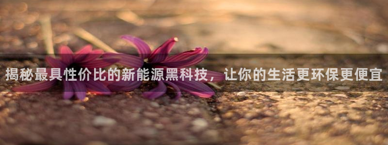 申博官方网站手机版下载
