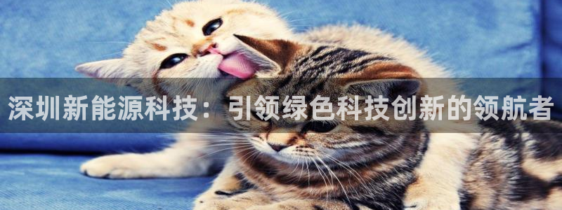 sunbet官网登录首页
