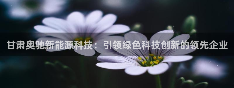 sunbet首页登录入口