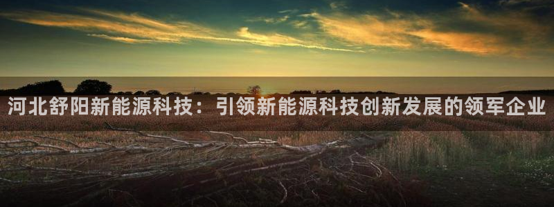 申博官方网站手机版下载