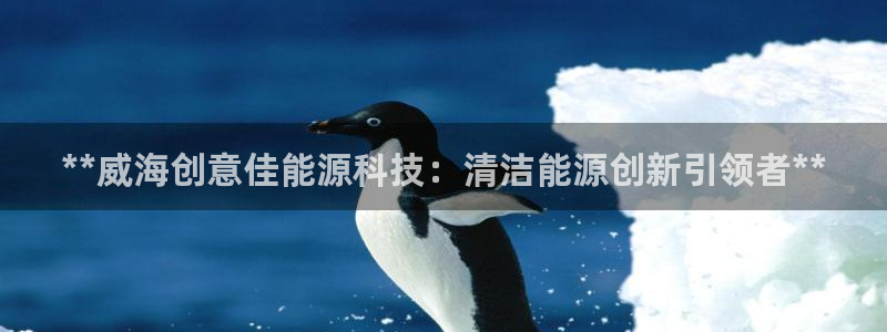 sunbet英语翻译