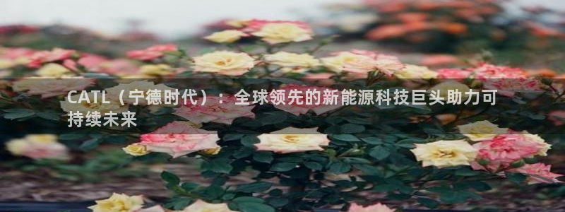 sunbet手机版登录