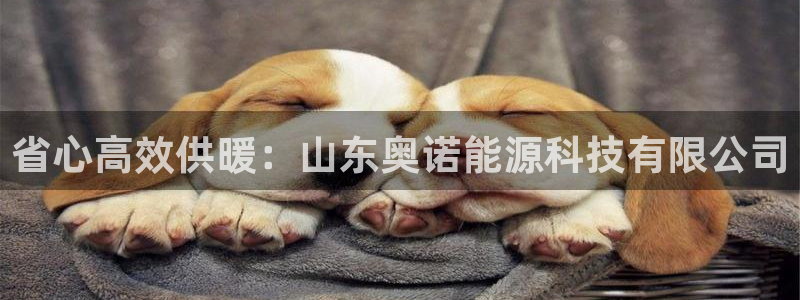 申博app下载