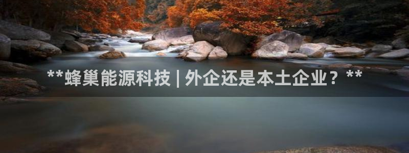 sunbet手机网页版本