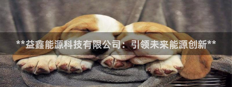 sunbet游戏网