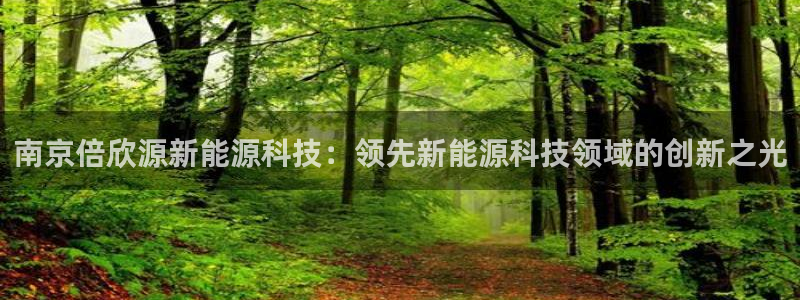 sunbet燃气灶