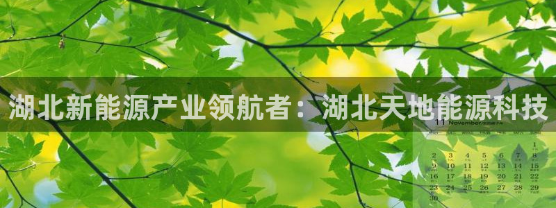 sunbet手机版官网下载