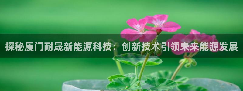 sunbet官网开户登录手机版