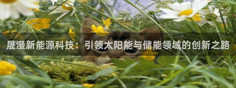 sunbet官网welcome