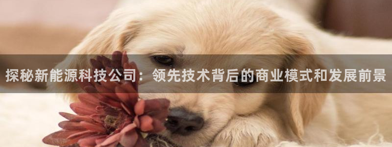 sunbet手机版登录