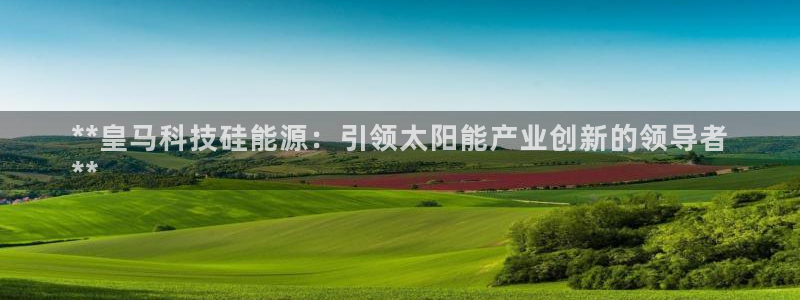 sunbet中国官网