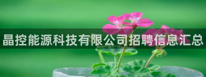 sunbet游戏