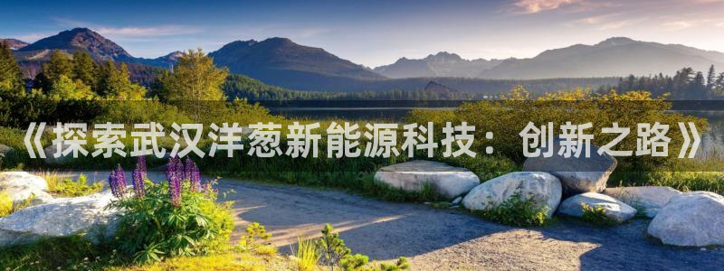 sunbet手机网页版下载