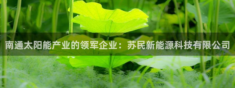 sunbet手机版官网下载
