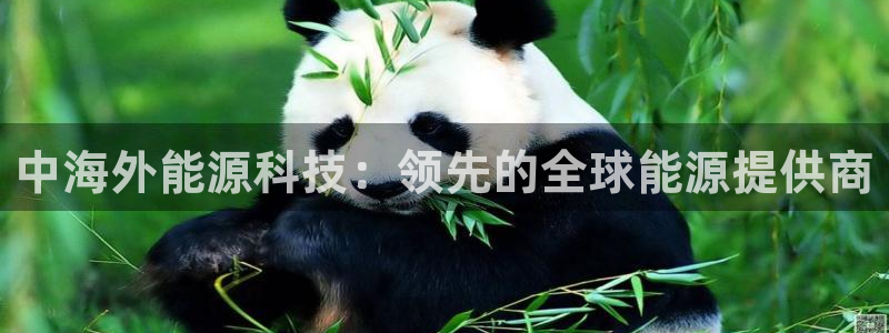 sunbet中国官网