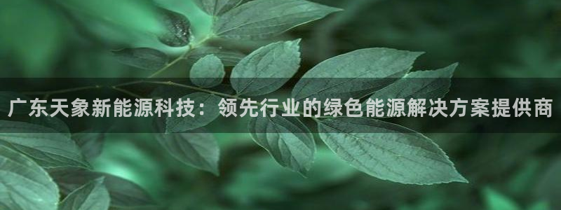 申博手机版app下载