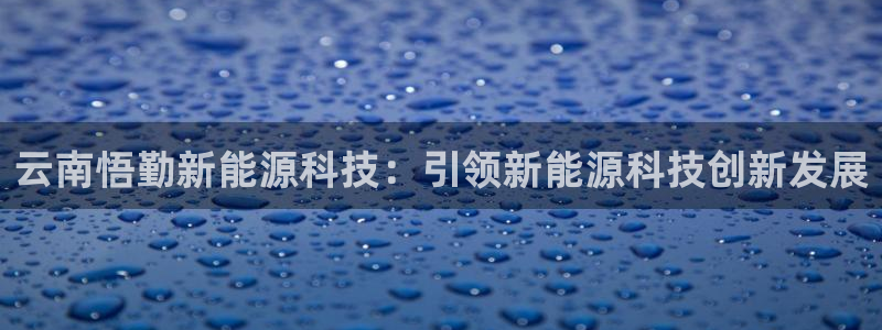 sunbet源码