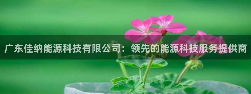 sunbet手机版官网下载