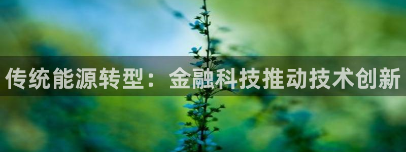 sunbet手机网页版下载