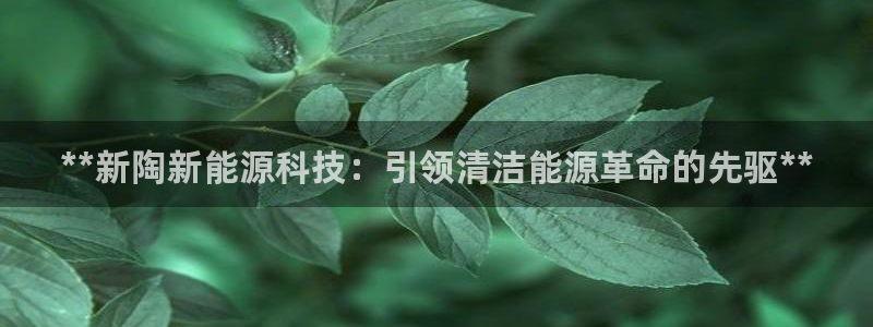 sunbet游戏官网