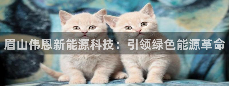 sunbet官网手机版