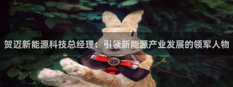 sunbet最新消息