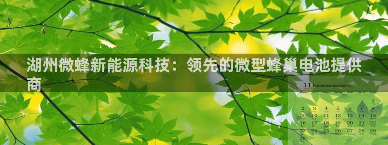 sunbet源码