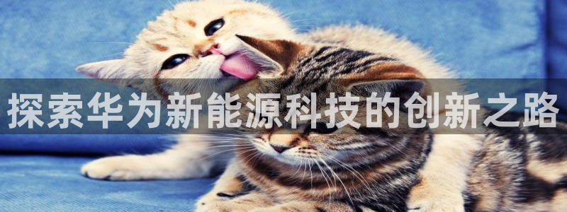申博官方网址