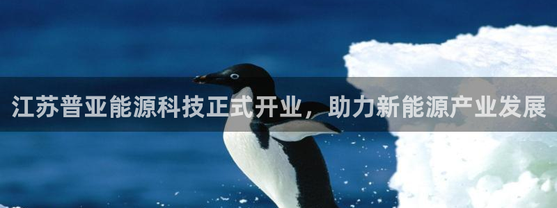 sunbet游戏