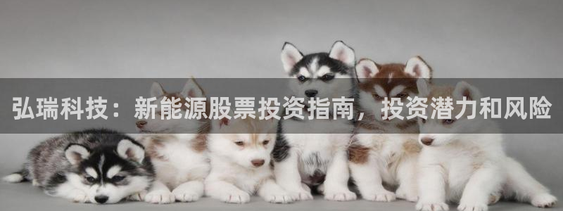 sunbet苹果app
