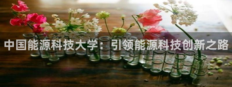 申博手机版app下载
