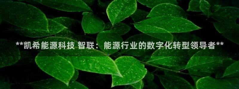 sunbet源码