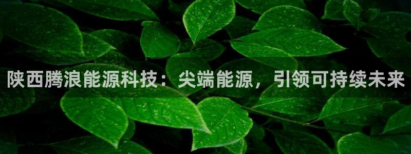 申慱sunbet版app