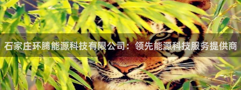 sunbet申搏地址