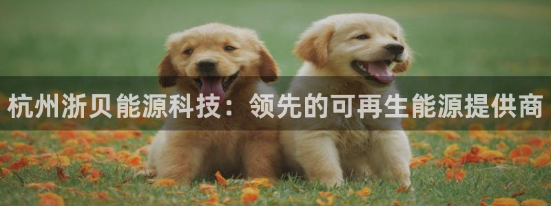 sunbet手机版官网下载
