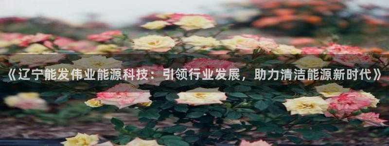 sunbet英语翻译