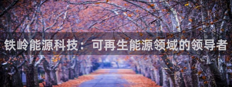 sunbet程序