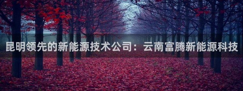 申博官方网站手机版下载