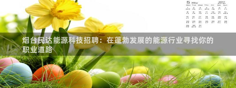 sunbet官网代理下载