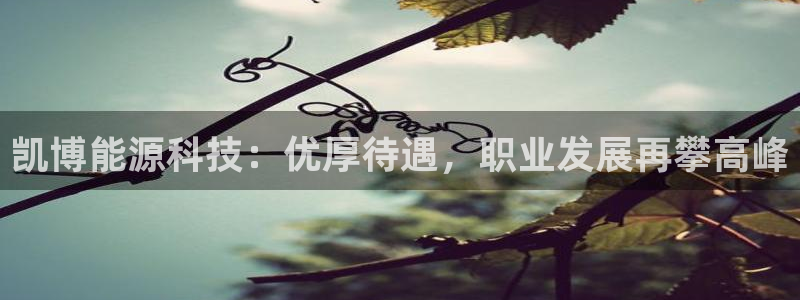 申博手机版官网