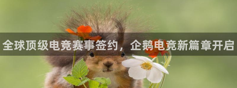 威客电竞测速：全球顶级电竞赛事签约，企鹅电竞新篇章开启