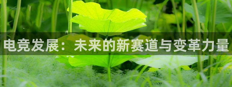 威客电竞vkgame官网