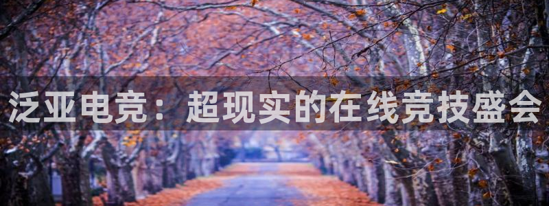 威客电竞酒店